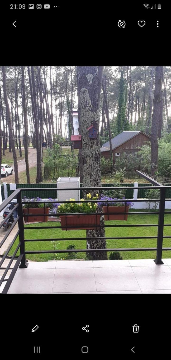 Вілла Shekvetili Big Wonder Номер фото
